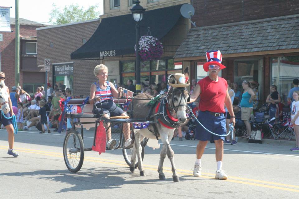 Parade Donkey & Cart
